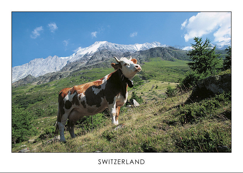 Switzerland