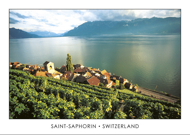10121 - Saint-Saphorin, Schweiz