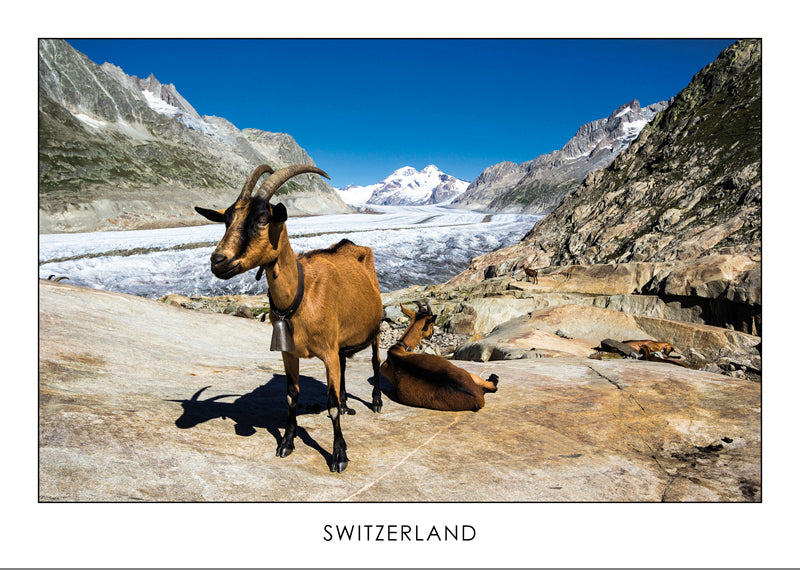 SWITZERLAND - Aletschgletscher