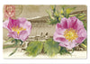 "Epîtres florales" Catherine Ernst
