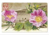"Epîtres florales" Catherine Ernst