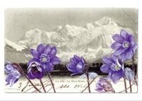 "Epîtres florales" Catherine Ernst