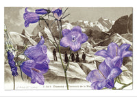 "Epîtres florales" Catherine Ernst