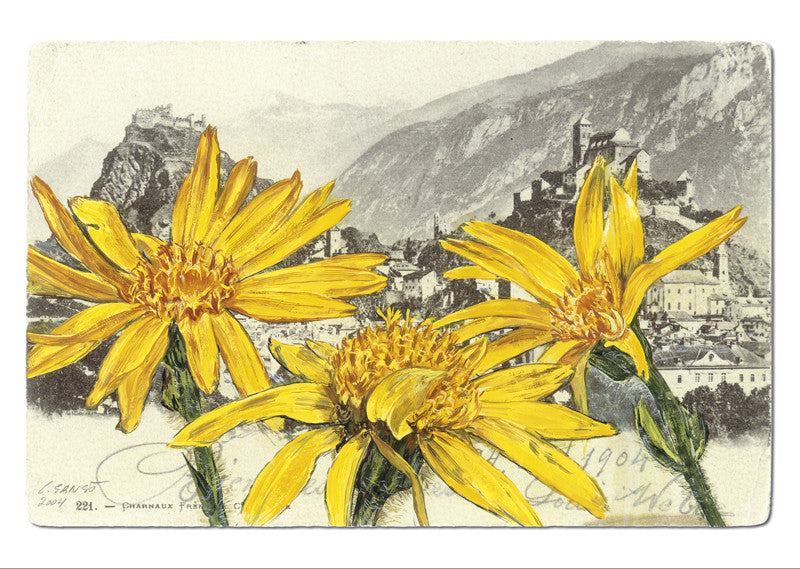 "Epîtres florales" Catherine Ernst
