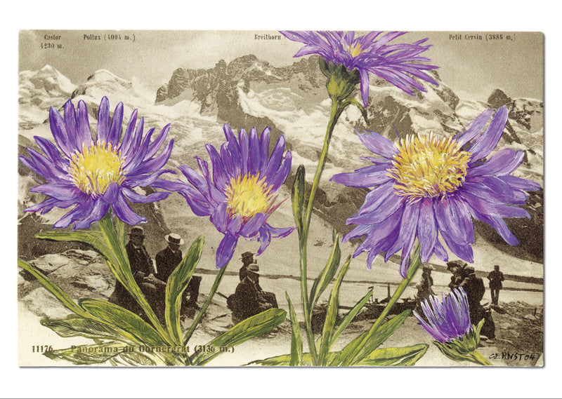 "Epîtres florales" Catherine Ernst