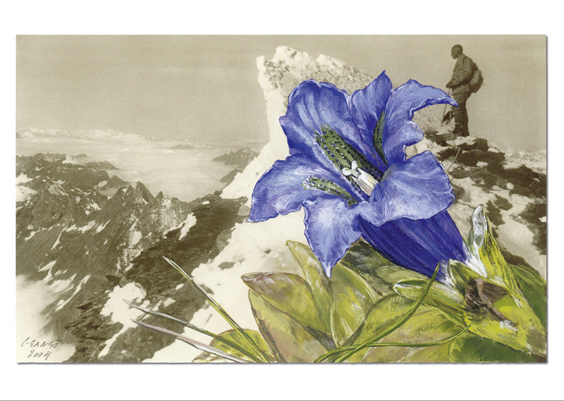 "Epîtres florales" Catherine Ernst