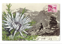 "Epîtres florales" Catherine Ernst