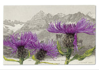 "Epîtres florales" Catherine Ernst