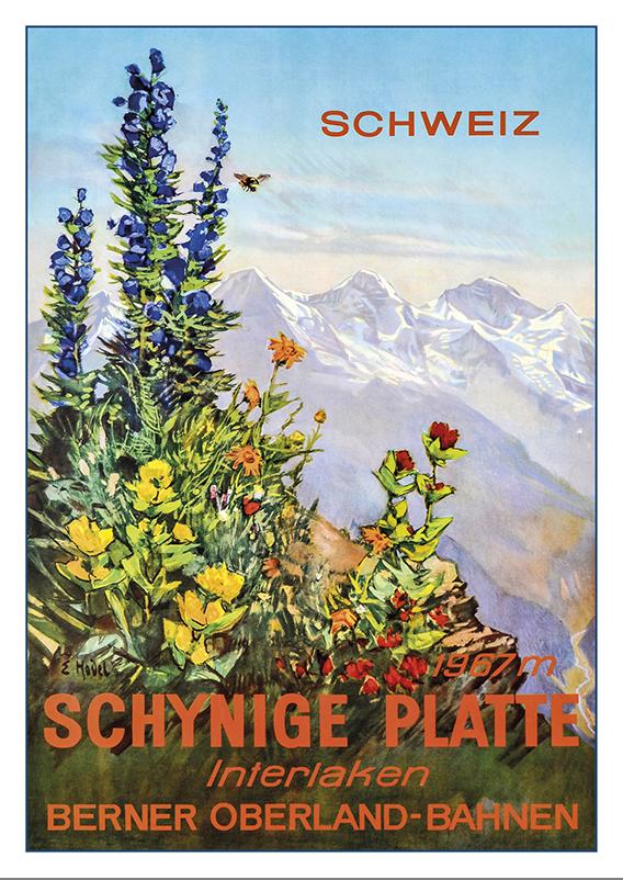 Postcard - INTERLAKEN - Schynige-Platte - Poster by Ernest Hodel - 1952