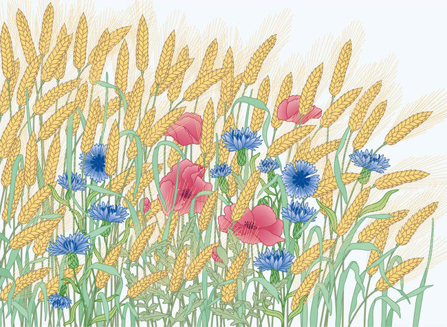 Greetings card Beatrix Lazzaro