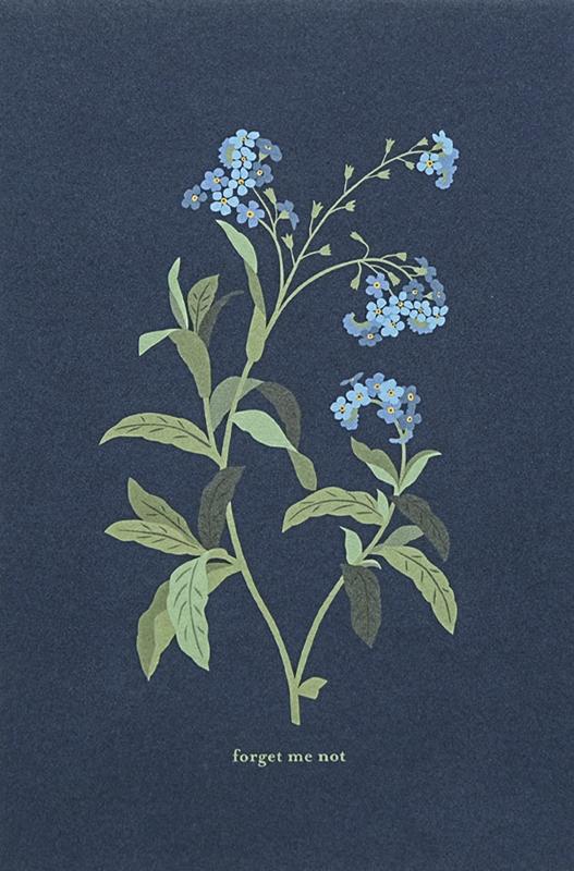 02-1.142 - Forget me not