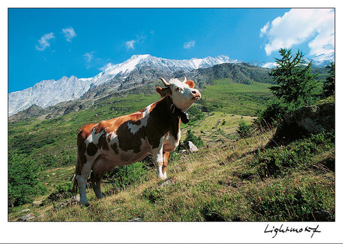 Switzerland