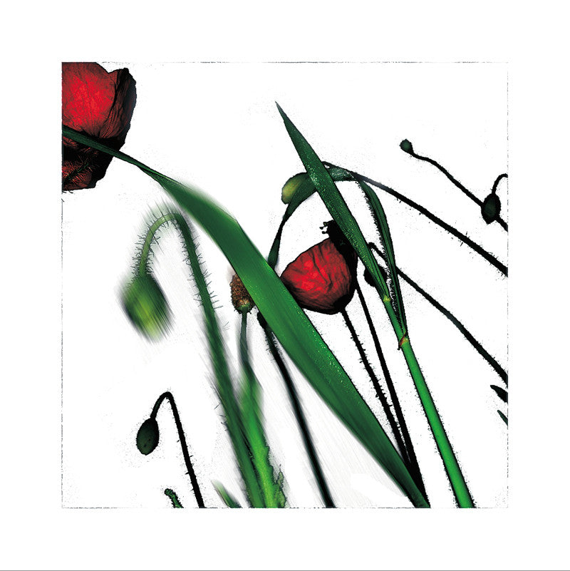 192 - Serie Poppy's - L'Herbier Humerose