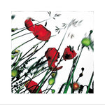 192 - Collection Poppy's - L'Herbier Humerose