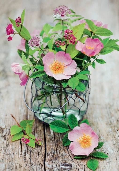 Rosehip flowers