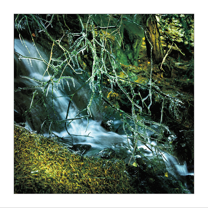 Carte de voeux : Rivière gelée
