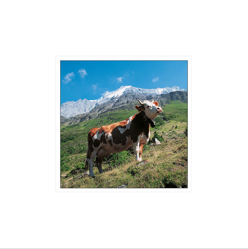 Greetings card: Switzerland