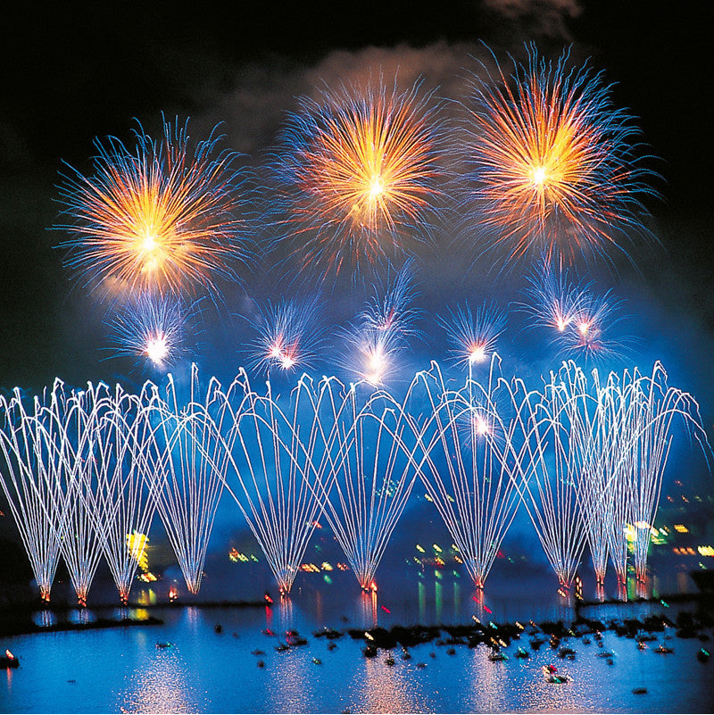Carte de voeux des Fêtes de Geneva
