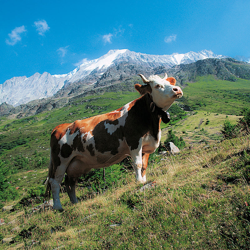 70060 - Switzerland